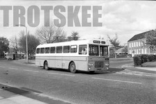 35mm Black and White Negative