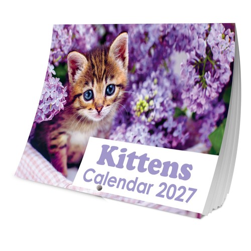 2027 kittens cats calendar - cats,