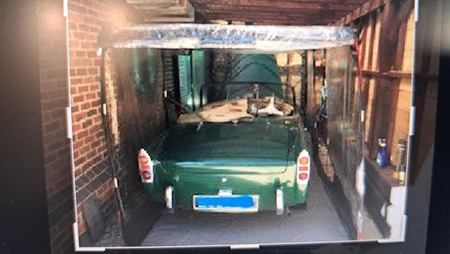 Carcocoon airchamber car - carcocoon,
