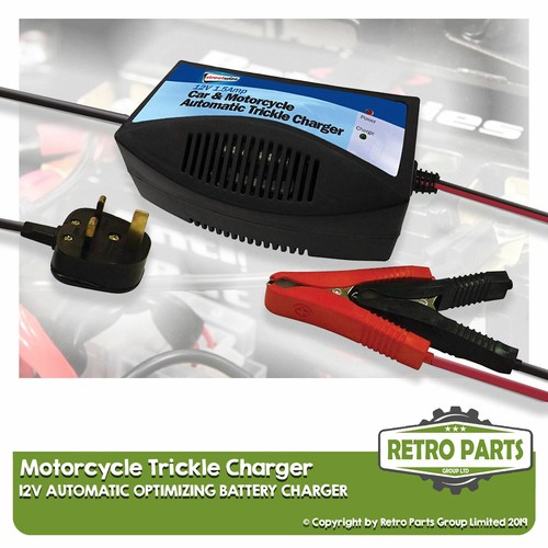 Automatic 12v trickle battery - automatic,