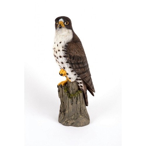 Garden creations peregrine - garden,