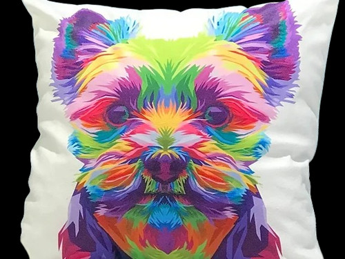 Kozzy yorkshire terrier - yorkshire, dog