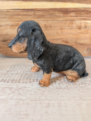 Puppy home garden - puppy,