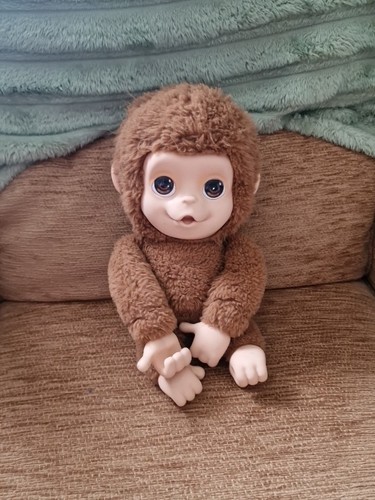 Little live pets baby mango - live,