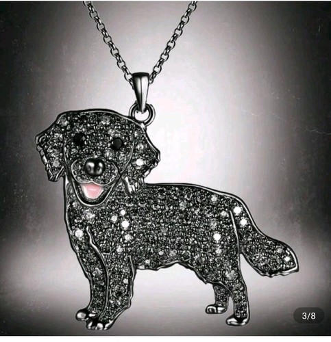 Cute black labrador retriever - cute,