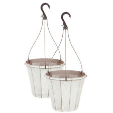 Hanging Baskets, Calista