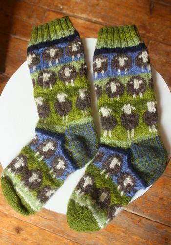 Pachamama flock sheep - of, hand