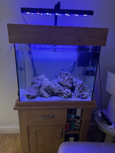 170 litre marine fish - marine, tank