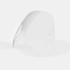 GENUINE TRIUMPH SPEED 400