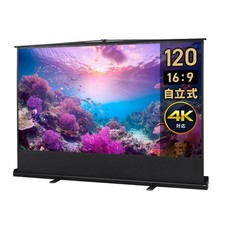 eSupply Projector Screen