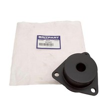 Rear Trailing Arm Chassis Bush