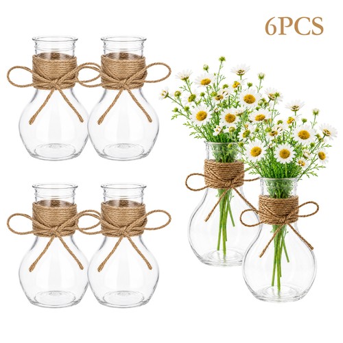6pcs clear mini - 6pcs, vases