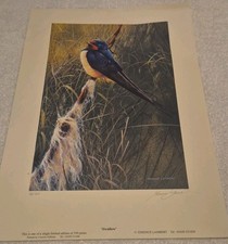 Swallow Terence Lambert Signed