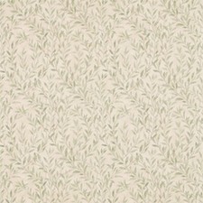 Sanderson - Osier - Willow