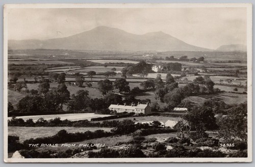 The rivals caernarvonshire - the,