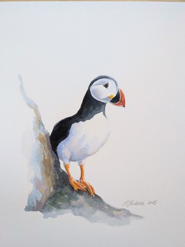Puffin original watercolour - original,