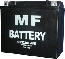 Battery (Conventional) for
