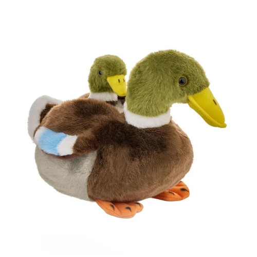 Mallard duck with - mallard,