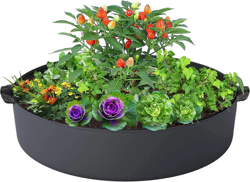 Gallon plant grow - plant, bags