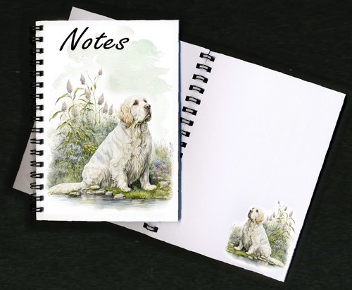 Clumber spaniel dog - spaniel,