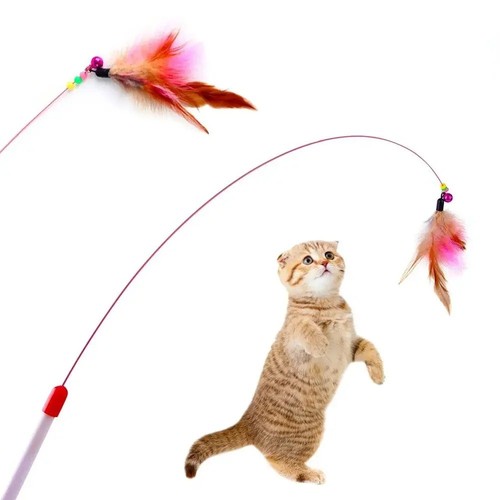 Cat kitten toy feather - toy,