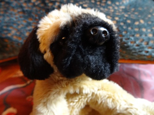 Russ berrie paddy the - berrie, pug?
