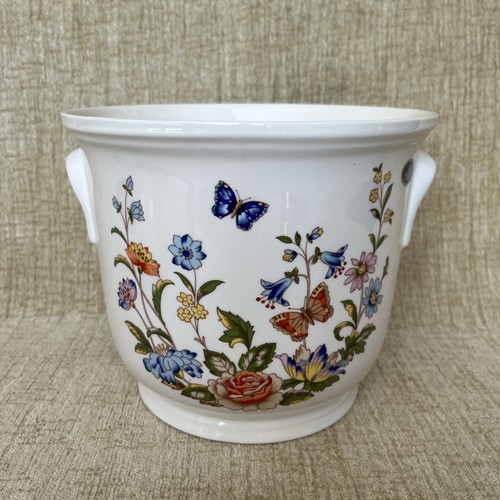 Aynsley cottage garden plant - cottage,