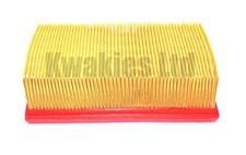 Genuine Air Filter T2204001