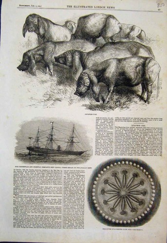 Original old antique print - original,