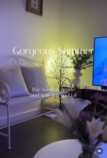 Lighted Snow Dusted Twig Tree 4ft