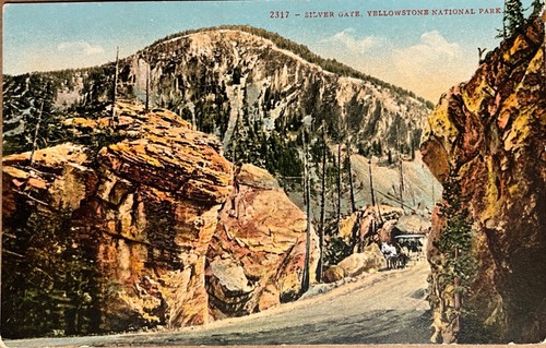 Yellowstone silver gate dirt - silver,