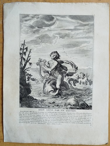 Arion dolphin ovid mythology - dolphin,