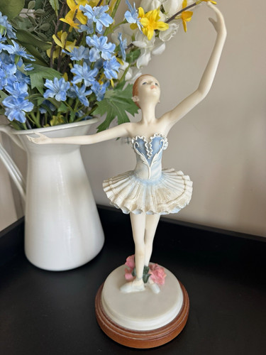 Elegant ballerina dancer - elegant,