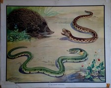 Eileen Soper: 2 Vintage Enid