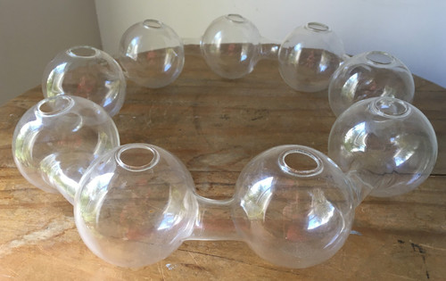 Plant terrarium blown glass - plant,