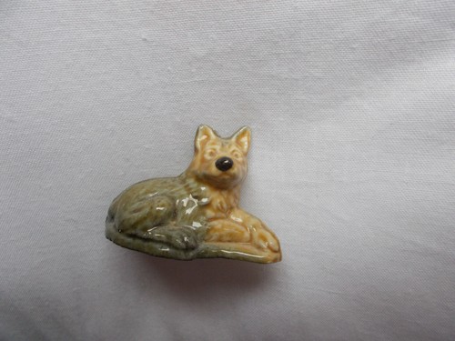 Wade alsation dog laying - alsation,