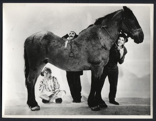 The marx brothers harpo - the,