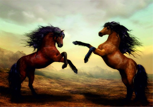 Two horses vinyl - horses,