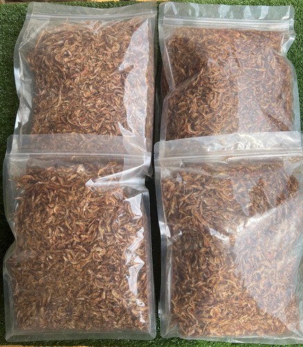 Oron crayfish 600g - oron, whole