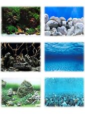 Aquarium Fish Tank Vivarium Background Picture Poster 19" tall/drop/height ref06