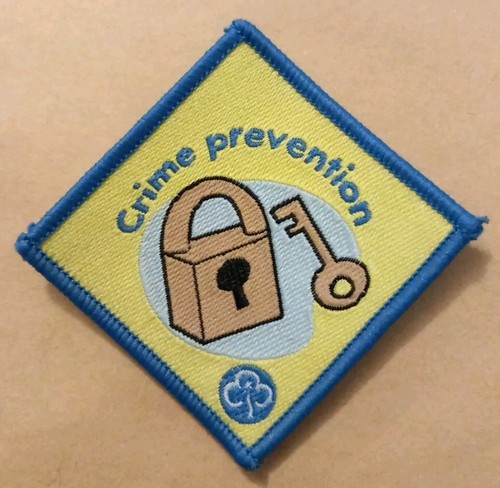 Brownie interest badge - interest,