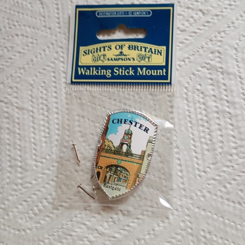 Walking stick badge mount - stick, badge/mount