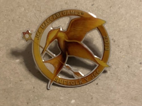 Mocking jay 2013 hunger - jay,