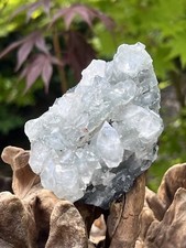 White Apophyllite Cluster Bed