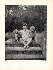 1930s vintage bedlington - 1930s,