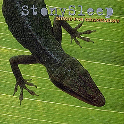 Stony sleep music for - stony,