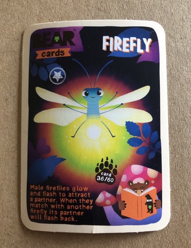 Bear brand new animals - bear,
