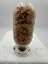 Antique Apothecary Inverted