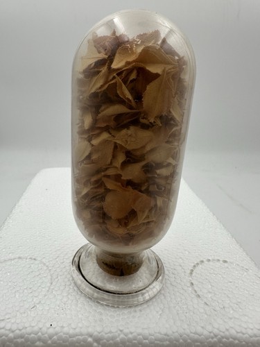 Antique apothecary inverted - apothecary,