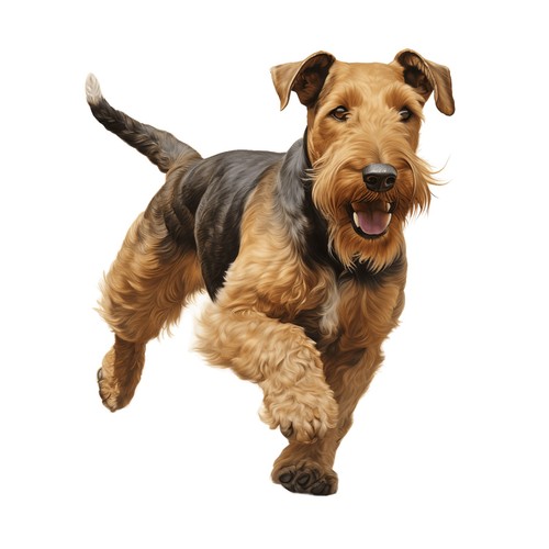 Stickers airedale terrier - airedale,